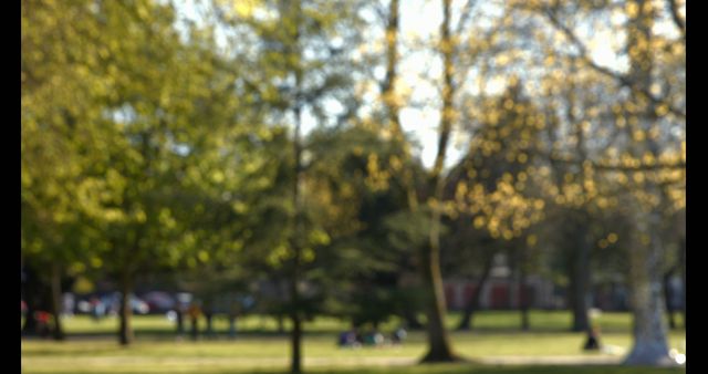 Blurred Park Scene with Trees and People in Distance - Download Free Stock Images Pikwizard.com