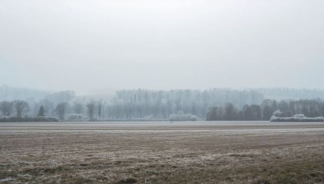 Frosty Farmland Morning with Misty Treeline and Snow-dusted Stubble on Flat Winter Plain