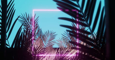 Futuristic Palm Leaves Silhouette with Neon Pink Square