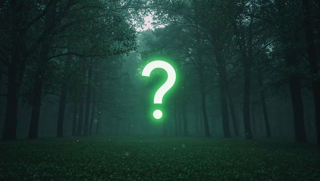 Neon question mark in enigmatic misty forest