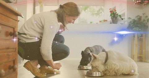 Crouching woman feeding two dogs in sunlit kitchen, cozy pet care and bonding moment