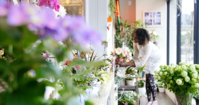 Florist Arranging Floral Bouquet in Light-Filled Shop - Download Free Stock Images Pikwizard.com