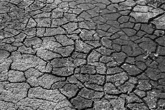 Africa broken clay cracks - Download Free Stock Photos Pikwizard.com