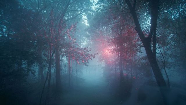 Enchanted Misty Forest with Ethereal Glowing Light