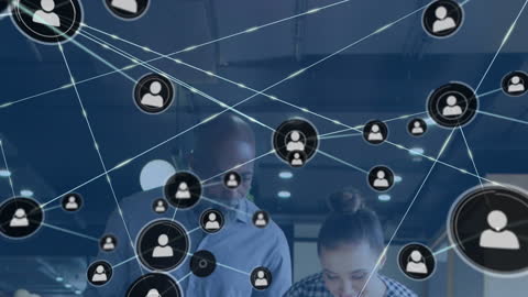 Business Collaboration with Digital Network Interface Overlay