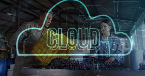 Winery workers sorting grapes with cloud technology integration