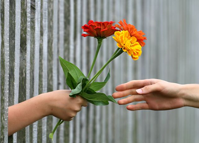 Hand Giving Colorful Fall Flowers Through Fence - Download Free Stock Photos Pikwizard.com