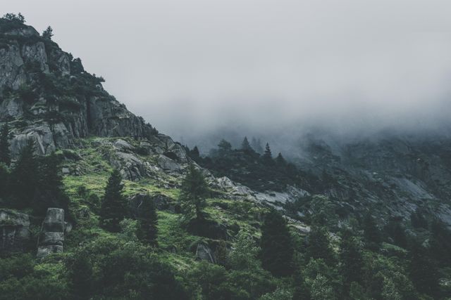 Misty mountain landscape features rocky terrain interspersed with pine trees. Dense fog creates a mesmerizing, mystical atmosphere against a backdrop of greenery and overcast sky. Ideal for use in travel blogs, nature websites, wallpaper backgrounds, and promotions for outdoor adventures or eco-tourism.