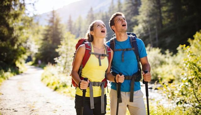 Young couple hiking and gazing at mountain on sunlit forest trail with backpacks and poles