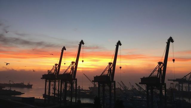 Towering container cranes silhouetting port at sunset golden hour with vessels and gulls