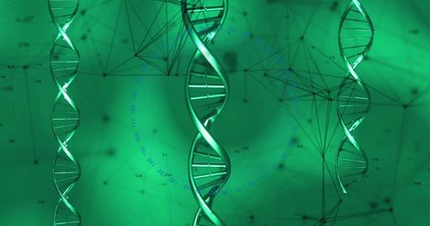 Digital DNA Flow Representing Data and Network Connections - Download Free Stock Images Pikwizard.com
