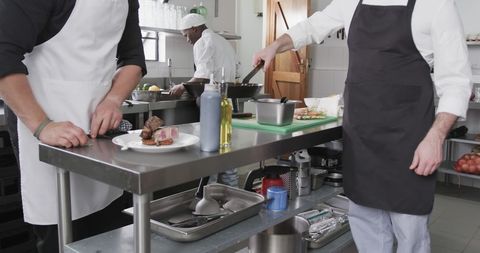 Professional Chefs Preparing Gourmet Dishes in Restaurant Kitchen