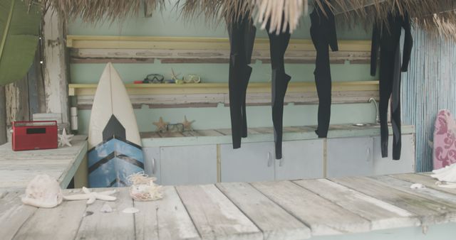 Empty surf shop with surf suits, surfboard and palm leaves on beach. Business, vacation, summer and activity, unaltered.