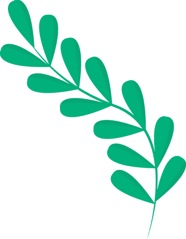 Simple green leaf branch on transparent background vector illustration