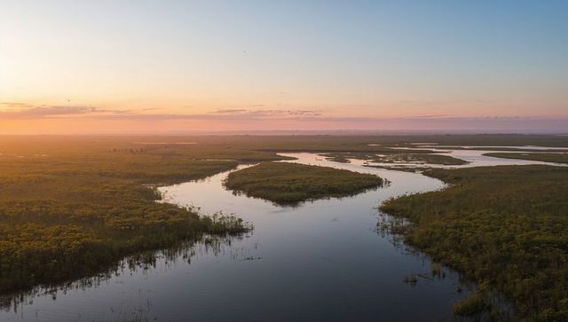 Flowing river snaking through sunrise wetland with vegetated islands and side channels