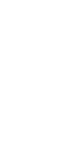 Transparent Silhouette of Woman Celebrating Success with Arms Raised - Download Free Stock Videos Pikwizard.com