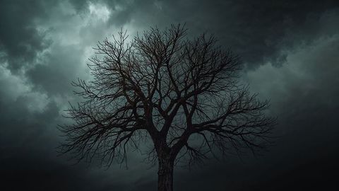 Leafless Tree Under Stormy Skies in Nighttime Wilderness