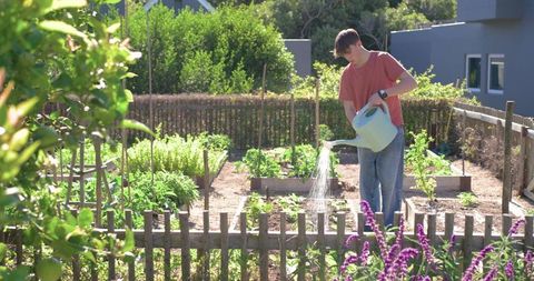Teenage male watering raised vegetable beds with pale green watering can in sunlit backyard garden