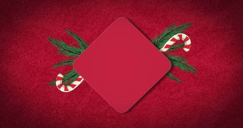 Christmas Candy Canes and Fir on Red Background