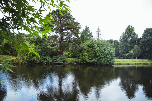 Green trees reflecting in a calm lake create a tranquil and serene atmosphere. This scene can be used for backgrounds, nature-themed projects, or relaxation visuals. Ideal for promoting peaceful and eco-friendly environments, outdoor activities, or summer retreats.