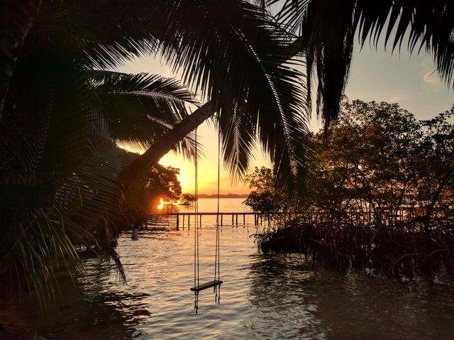 Calming scene captures a tropical sunset, featuring a swing hanging from palm trees. Ideal for travel magazines, vacation advertisements, relaxation themes, or nature blogs.