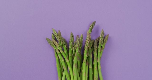 Image of fresh asparagus with copy space over lilac background - Download Free Stock Photos Pikwizard.com