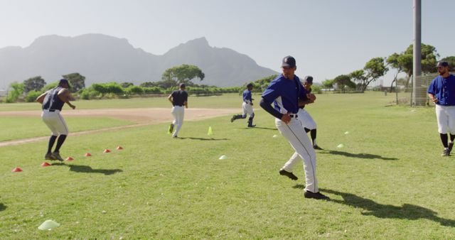 Baseball Team Practicing Drills On Sunny Day - Download Free Stock Images Pikwizard.com