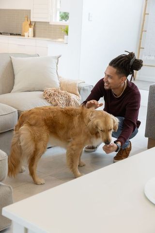 Man crouching and petting golden retriever in bright modern living room, cozy neutral decor