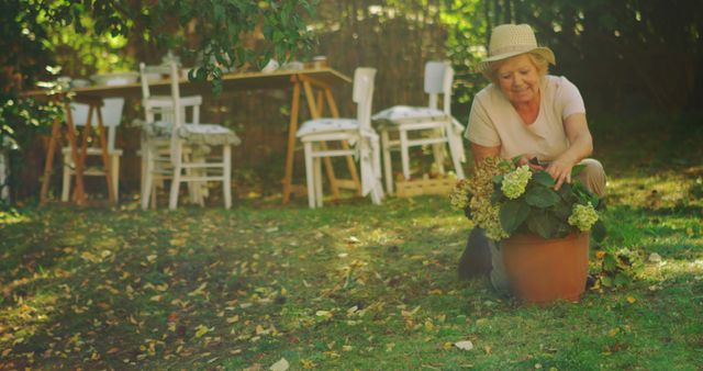 Senior woman examining pot plant in garden on a sunny day