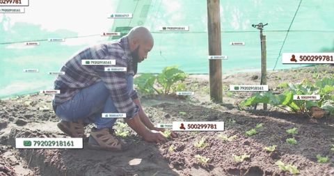 Gardener tending seedlings using innovative planting in shade