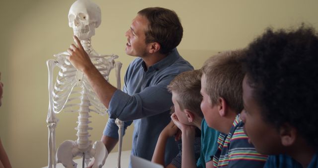 Teacher engaging students with an explanation of a human skeleton model, useful for educational materials, science classes, and school activities showcasing interactive learning. Ideal for illustrating teaching methods, group learning dynamics, and the importance of diverse classroom settings.