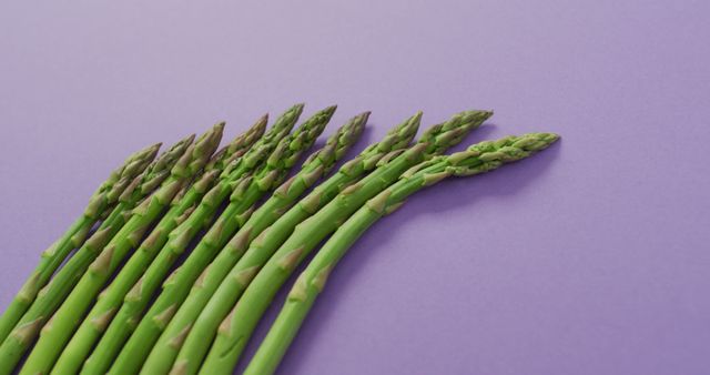 A close-up of fresh green asparagus spears displayed on a bright purple background. This vibrant image can be used in health and wellness articles, vegetarian and vegan recipe blogs, or farm-to-table food market promos.