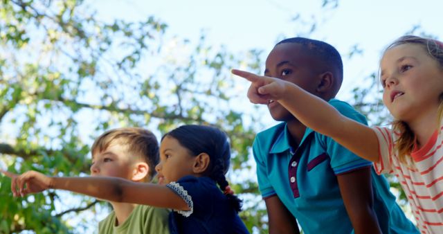 A diverse group of children are looking and pointing at something interesting out of frame, with copy space. Their expressions of curiosity and engagement suggest they are on a playful adventure or discovering something new together.