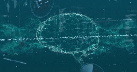 Digital Brain with Data Processing on Futuristic Interface - Download Free Stock Images Pikwizard.com