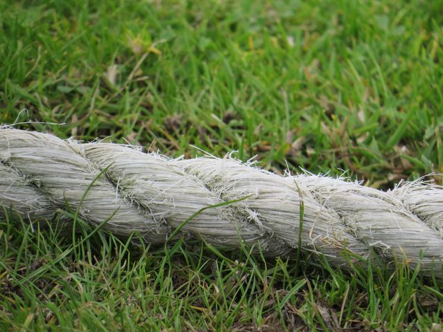 Close-up of Thick Rope on Grass - Download Free Stock Images Pikwizard.com