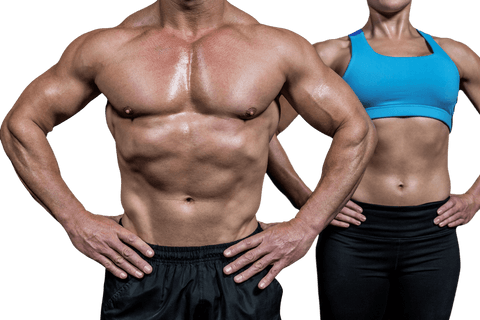 Transparent Muscular Male and Female Fitness Models - Download Free Stock Videos Pikwizard.com