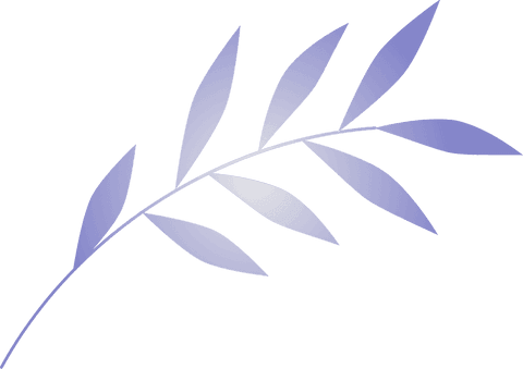 Stylized botanical branch with purple leaves on transparent background