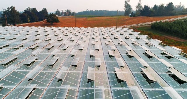 Solar panels arranged in rows at a rural farm generate renewable energy. Ideal for promoting clean energy, sustainability, environmental conservation, and technological innovations. Suitable for use in articles about alternative energy sources, eco-friendly technology, and rural initiatives in sustainability.