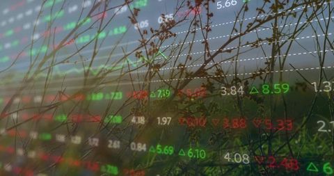 Nature and finance connection with stock market overlay