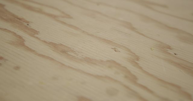 Close up of a piece of freshly cut wood in a woodshop. Light pine coloured wood with a darker grain