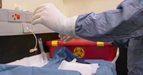Veterinary Surgeon Preparing for Operation with Medical Gloves