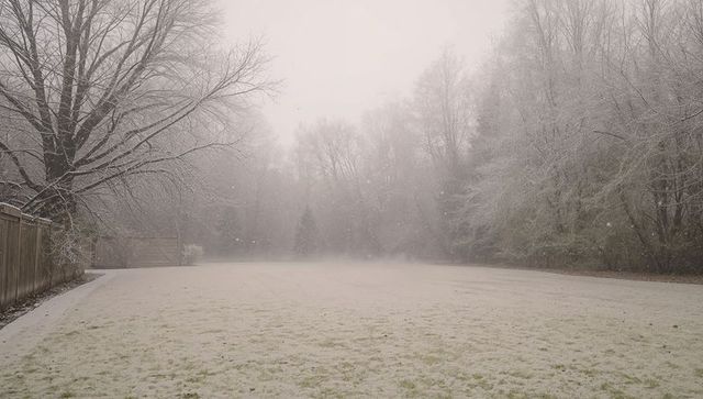 Snowfall over suburban lawn with frosted trees and wooden fence in misty winter morning