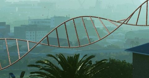 Suspended Rope Double-Helix Spanning Urban Rooftop Skyline with Palm Tree and Harbor Haze