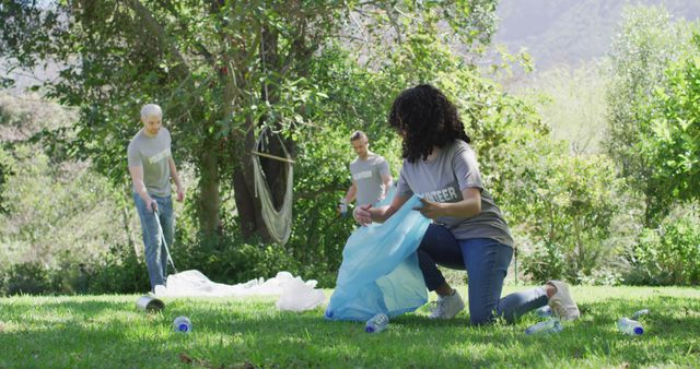 Volunteers Collecting Plastic Bottles in Park for Environment Clean-up Activity - Download Free Stock Images Pikwizard.com