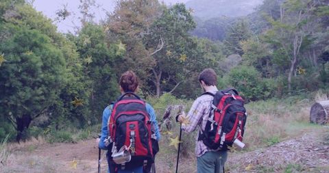 Adventurous hikers exploring lush forest trail