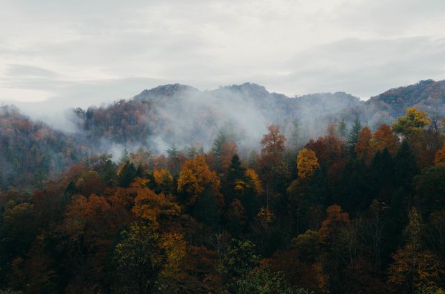 Beautiful autumn forest with colorful foliage surrounded by misty mountains. Ideal for nature enthusiasts, travel blogs, autumn promotions, environmental campaigns, and wallpaper backgrounds.
