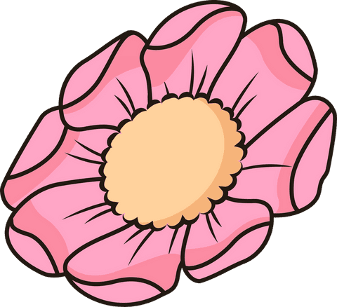 flat design pink flower with scalloped center on transparent background - Download Free Stock Videos Pikwizard.com