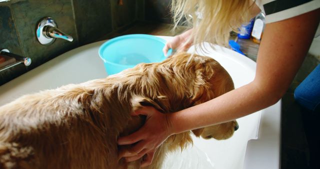 Blonde woman bathing golden retriever in white bathtub, carefully pouring water over dog's back. This image is perfect for pet care articles, advertisements about dog grooming, content related to tips for bathing dogs, or showcasing everyday domestic life involving pets.