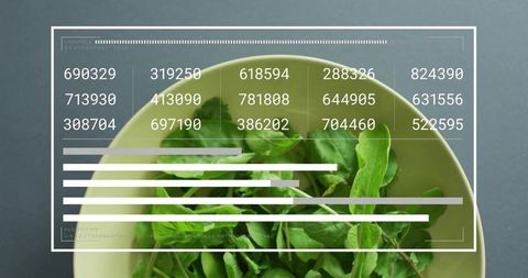 Fresh arugula bowl with digital dashboard overlay, minimalist flatlay for food analytics