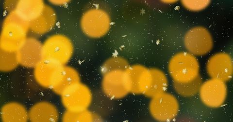 Fall Snow Over Warm Festive Bokeh Lights
